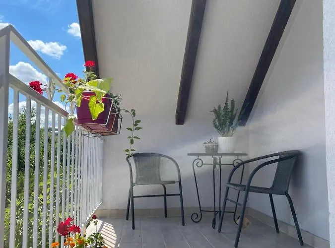 Nas San ヴルドニーク