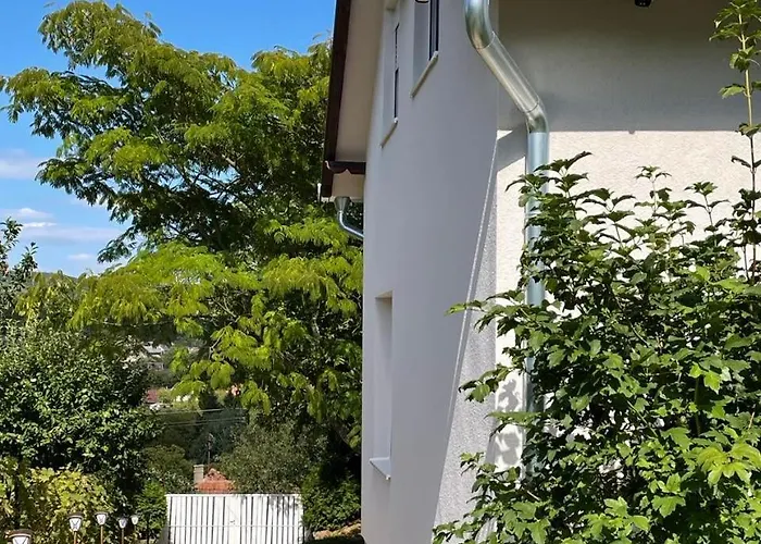 Nas San ヴルドニーク